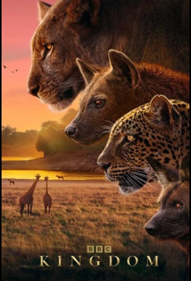 Царство животных Сериал2025смотреть онлайн бесплатно